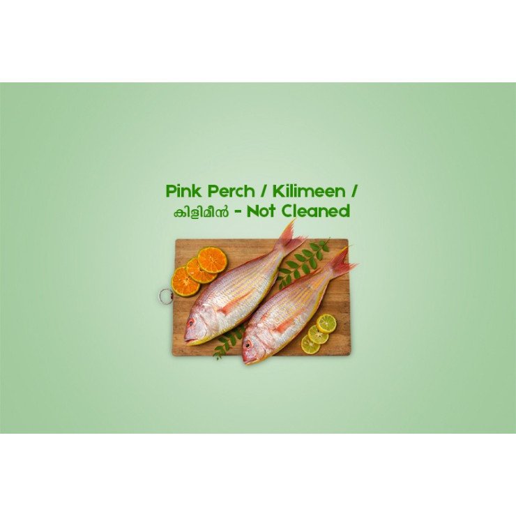 Cleaned Pink Perch Large / Kilimeen / കിളിമീൻ (300gm) 